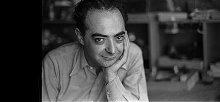 Brassaï tapestries and rugs